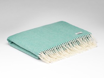 LAMBSWOOL PASHMINA 74 X 220 - SPEARMINT HB